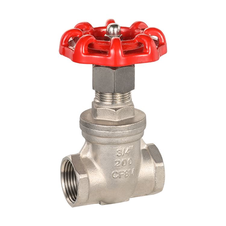 Stainless Steel Threaded Gate Valve